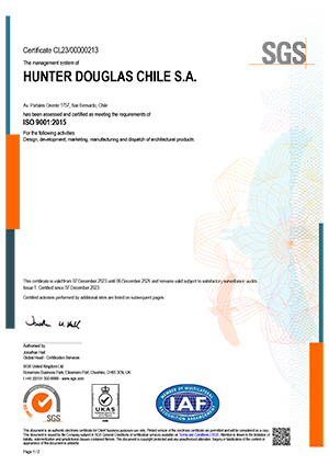 ISO 9001 INGLES 1