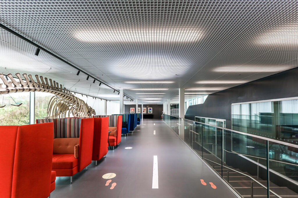Brighton College Sports & Science 1