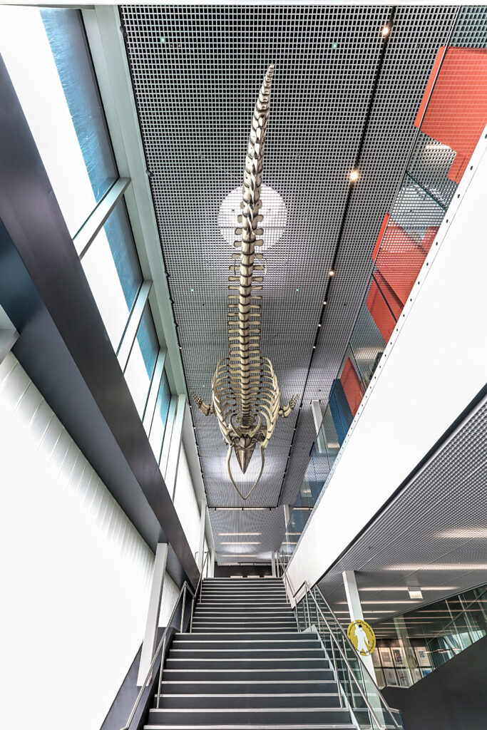 Brighton College Sports & Science 12