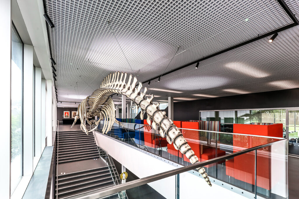 Brighton College Sports & Science 8